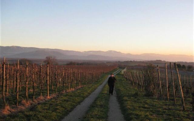 Zum Rebberg Ferienwohnungen
