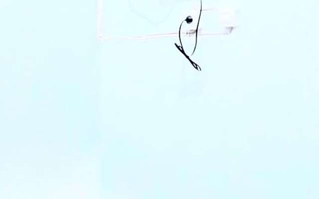 KoolKost Syariah @ Kupang Jaya