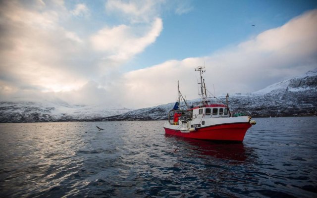 Arctic Panorama Lodge