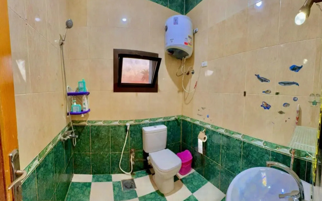 Palma Oasis Hostel