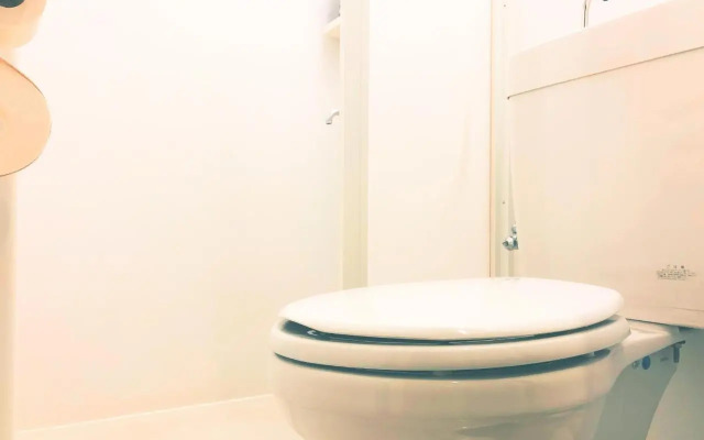 Ayamiya - Vacation STAY 03765v