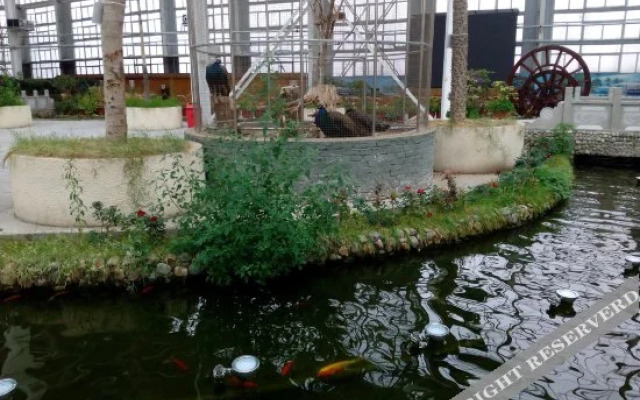 Yatai Hot Spring Resort