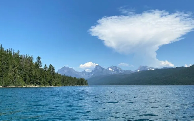 The Reclusive Moose Cabins