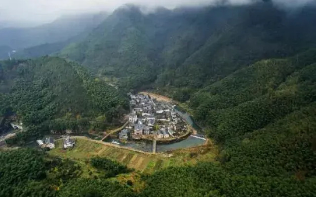 Tree House Guesthouse