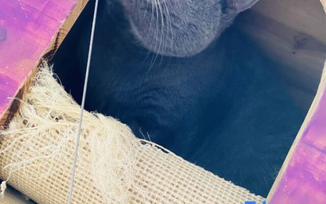 Xinmu Lanlian Boutique Hotel