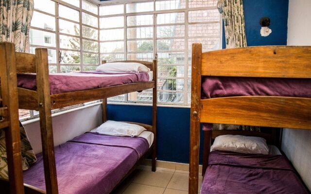 Copa Roots Hostel