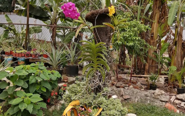 Parador El Cachimbo De Mama