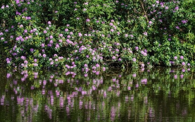 Gorgeous Villa in Bergentheim with Sauna