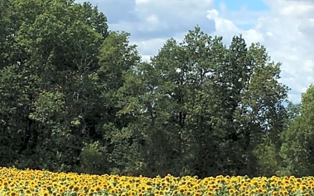 Ancien Relais de Poste the Old Post Office