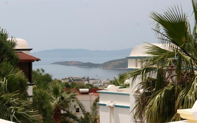 BO040 Bodrum