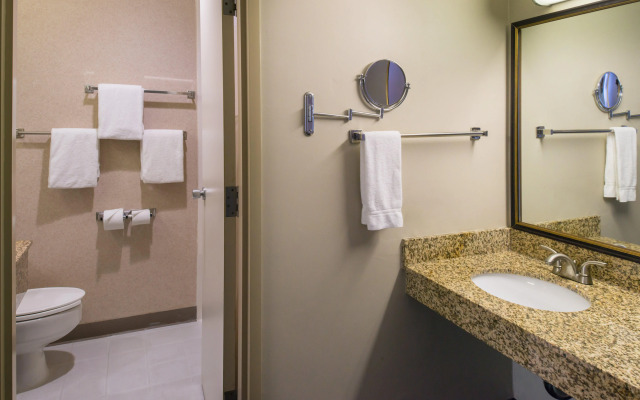 Holiday Inn Dublin-Pleasanton by IHG