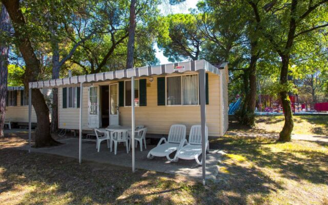 Belvedere Pineta (GDO200)