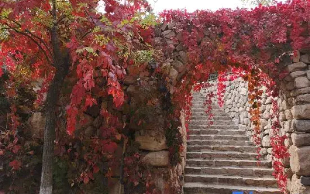 Aolunda Yuanxiang Homestay