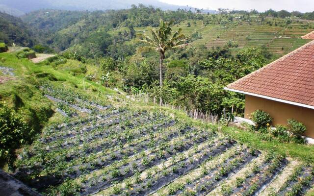 Shangrilah Villas