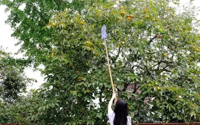 JiuJuYi