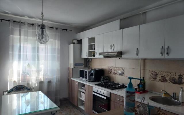 Vintage Central Apartament