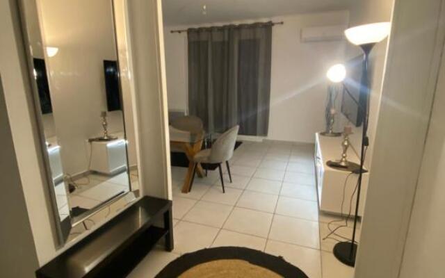 Grand Appartement lumineux 75m2