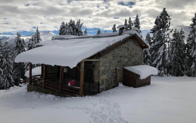 Tanevit Dag Evi