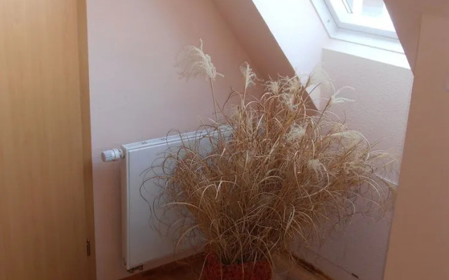 Ferienwohnung Baumann