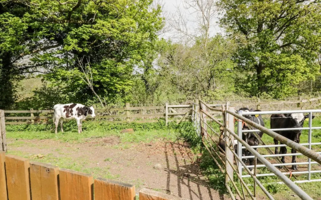 The Old Grainstore