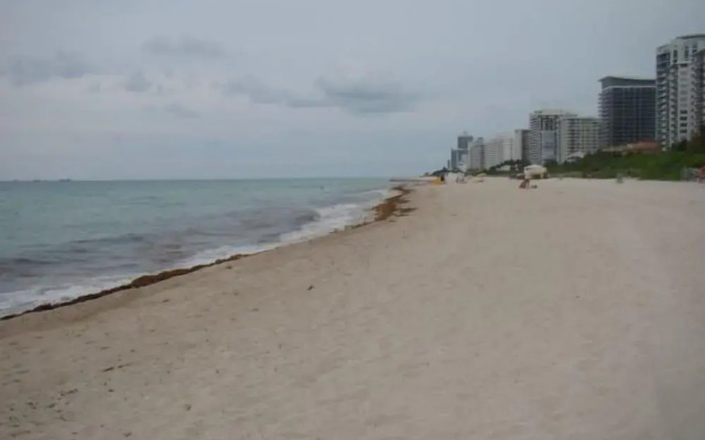 Casablanca by Design Suites Miami