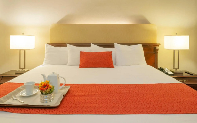 Hotel Stanza