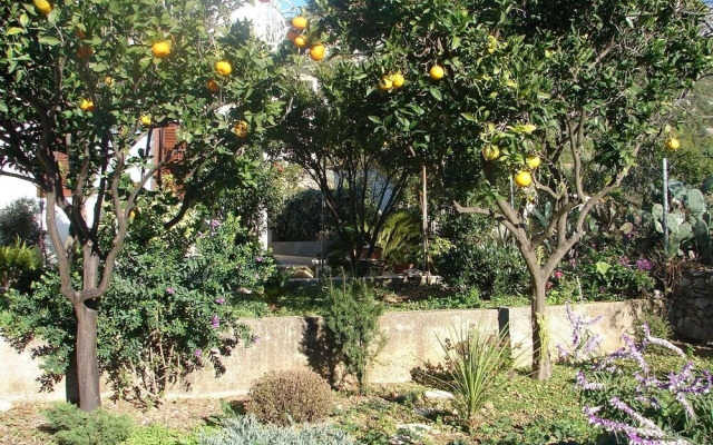Sugor - 70 m From sea - A3 Novi