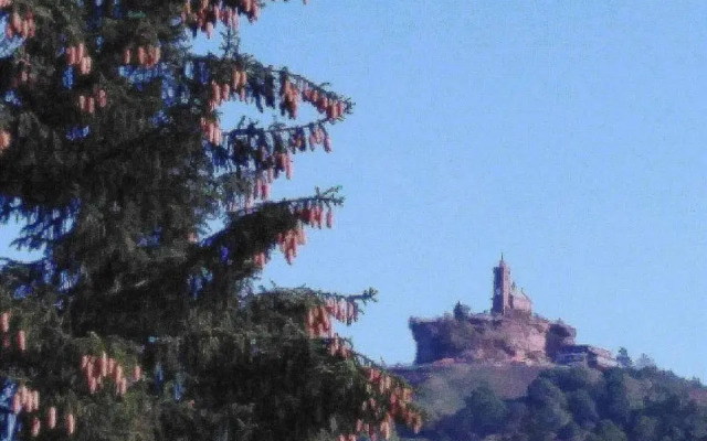 Le Gite Du Bucheron