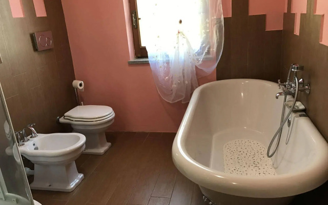 La Rosa Tra Le Vigne