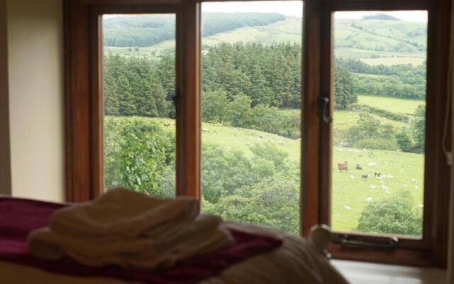 Foel Fach