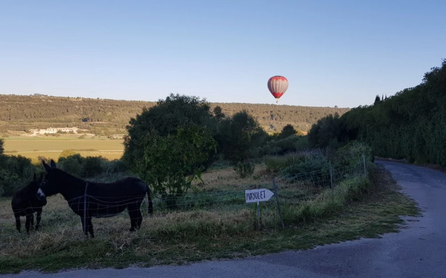 Finca Es Mayolet