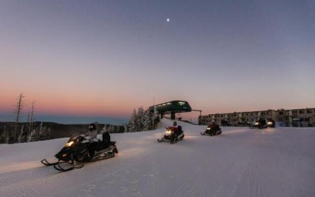 Snowshoe Condo Unit 333