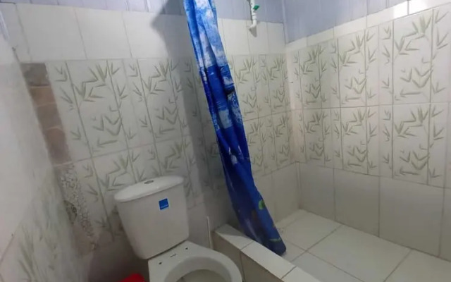 hostal tachiwa-hormiga