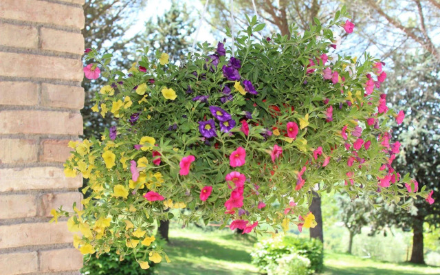 Relais Parco del Subasio