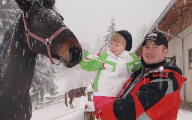 Der Ponyhof Familienhotel & Reitstall