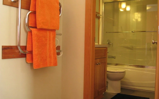 Mountain Town Properties Aladar's Guest Cabin