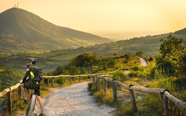 Villa Terme Padova-Relax & Wellness