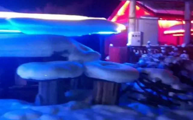 Xuexiang Erlanghe Liuzhengfang Family Hotel