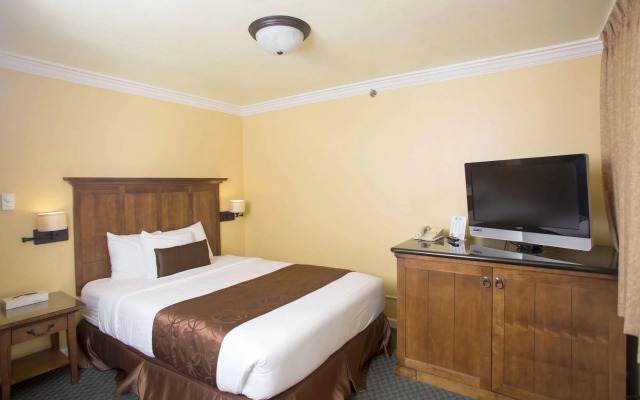 The Royal Victorian Motel