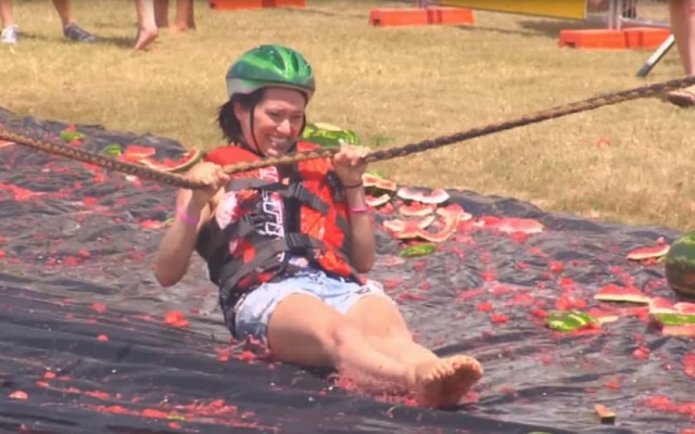 White Gums Motor Inn