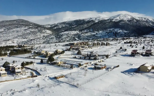 Chalet Renata 1 Livadi Arachovas