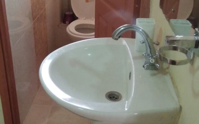 Lewisky homestays and tours
