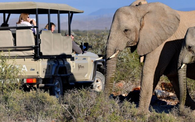 Gondwana Family Lodge