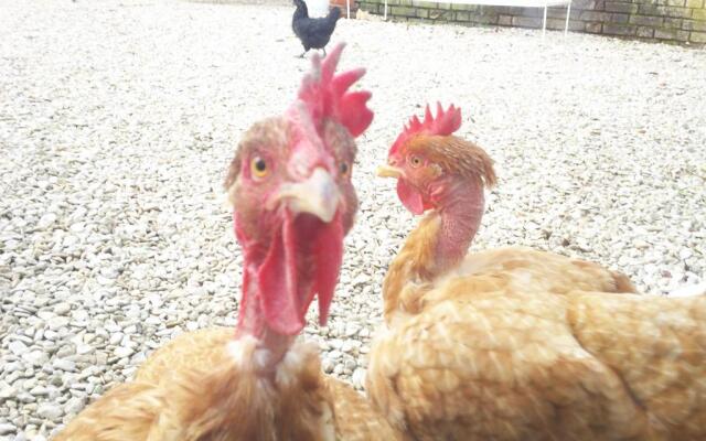 Chambre d'Hôtes des P'tits Bonheurs