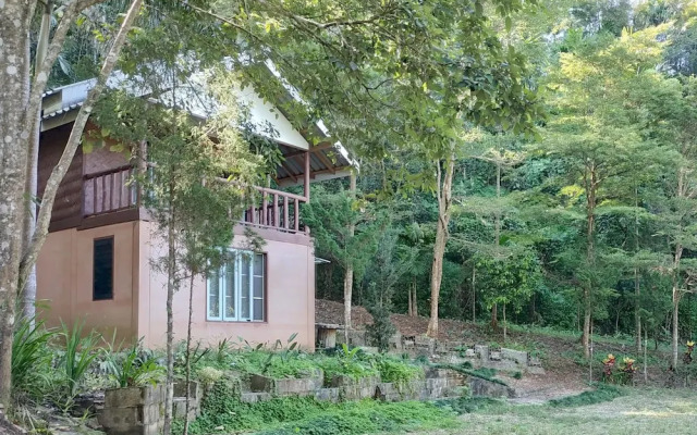 Farmstay at Pha Ma Chiangrai