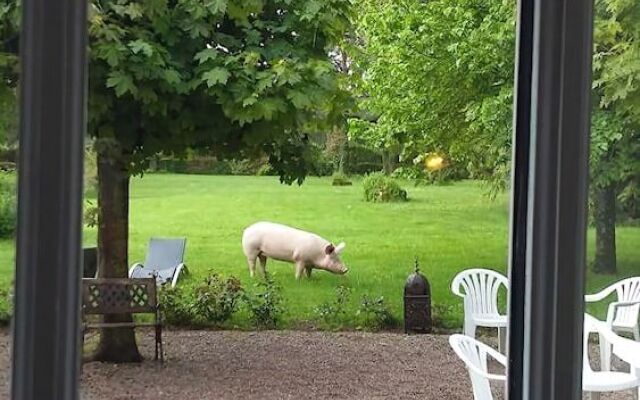 Le Domaine du Mijarnier