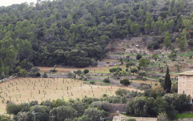 Es Corte Vell - Inland Bunyola - Adults Only