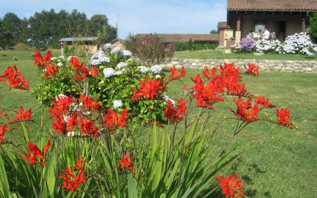 Regenbogen Bungalows