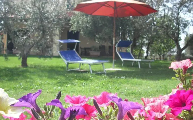 Agriturismo Le Macine