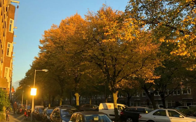 Fantastic Bright Penthouse